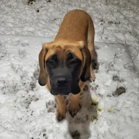 Meet your Posher, Frank - Picture 1 of 1